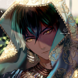 This is a pixiv picture whose title is 装飾.