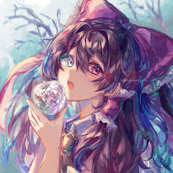 This is a pixiv picture whose title is 冬霊夢.