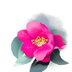 This is a pixiv picture whose title is つばき.