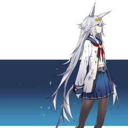 This is a pixiv picture whose title is 稀代のアイドルホース.