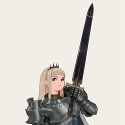 This is a pixiv picture whose title is 姫騎士.