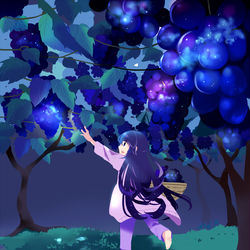 This is a pixiv picture whose title is 星空ぶどう.