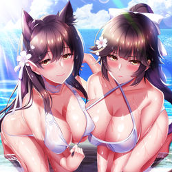 This is a pixiv picture whose title is アズールレーン　水着高雄＆愛宕.