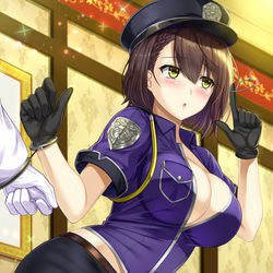 This is a pixiv picture whose title is ボルチモア　ポリスコスver.