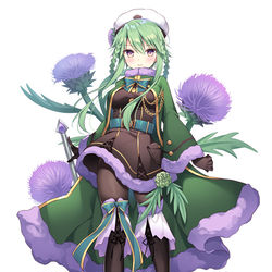 This is a pixiv picture whose title is 【仕事絵】花騎士.