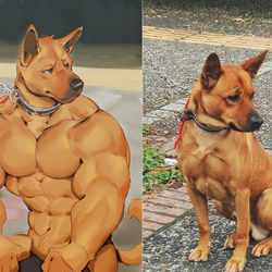 This is a pixiv picture whose title is Big chest dog.