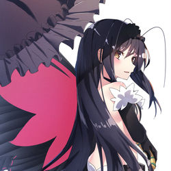 This is a pixiv picture whose title is アクセル・ワールド 黒雪姫.