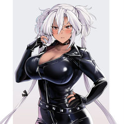 This is a pixiv picture whose title is ライダースーツ的武蔵さん.