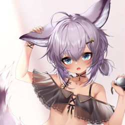 This is a pixiv picture whose title is 🦊.