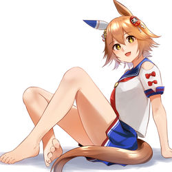 This is a pixiv picture whose title is マチカネフクキタル.