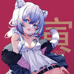 This is a pixiv picture whose title is 寅.