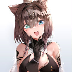 This is a pixiv picture whose title is what's her name.