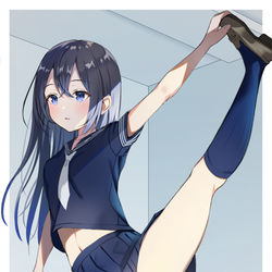 This is a pixiv picture whose title is ストレッチしてる女の子を描きたかっただけ.