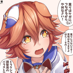 This is a pixiv picture whose title is 結局重り扱いのフクキタルの背中のアイツ.