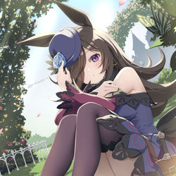 This is a pixiv picture whose title is ライスシャワー.