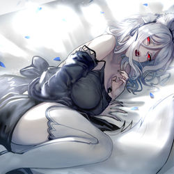 This is a pixiv picture whose title is 🐺.