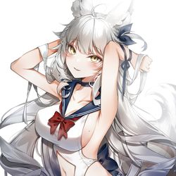 This is a pixiv picture whose title is 狐.