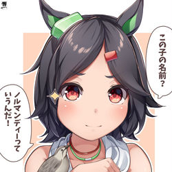 This is a pixiv picture whose title is 一枚でわかるうちのチケゾー.