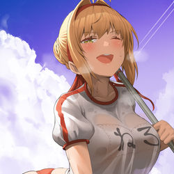 This is a pixiv picture whose title is ネロ.