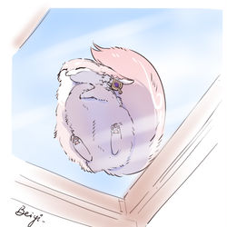 This is a pixiv picture whose title is Miko on the roof.