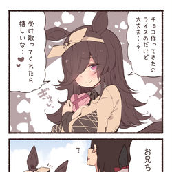 This is a pixiv picture whose title is ライスチョコ.