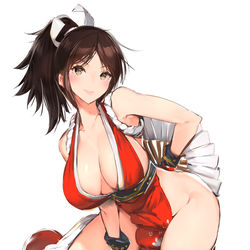 This is a pixiv picture whose title is 不知火舞.