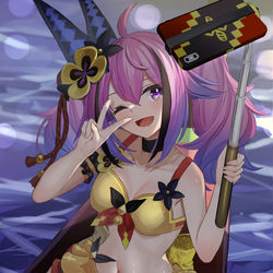 This is a pixiv picture whose title is ラプラスα.
