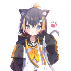 This is a pixiv picture whose title is Neko Petra.