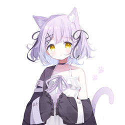 This is a pixiv picture whose title is 猫るな.