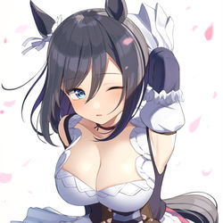 This is a pixiv picture whose title is フラッシュの勝負服好き.