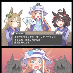 This is a pixiv picture whose title is 天空のウマ嫁.
