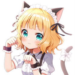 This is a pixiv picture whose title is 猫耳シャロちゃん🐈.