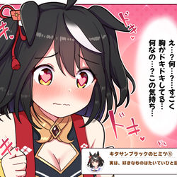 This is a pixiv picture whose title is キタちゃんの秘密.