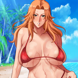 This is a pixiv picture whose title is 水着乱菊.