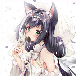 This is a pixiv picture whose title is 猫の日.