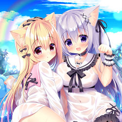 This is a pixiv picture whose title is にゃんこの水あそび.