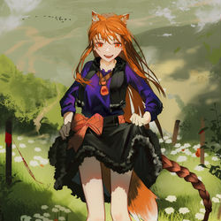 This is a pixiv picture whose title is 赫萝.