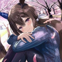 This is a pixiv picture whose title is アヤベさん（シニア級）とお花見.