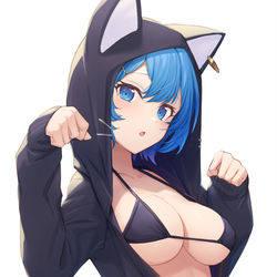 This is a pixiv picture whose title is 黒猫.