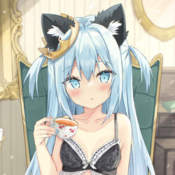 This is a pixiv picture whose title is プリンセスネコチャン.