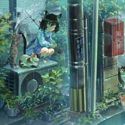 This is a pixiv picture whose title is ☔🐈.