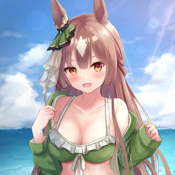 This is a pixiv picture whose title is サトノダイヤモンド.