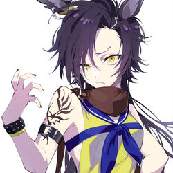 This is a pixiv picture whose title is エアシャカール.