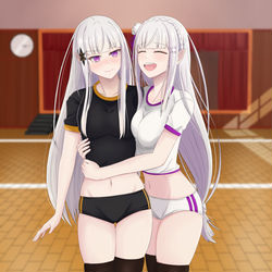 This is a pixiv picture whose title is Satella x Emilia.