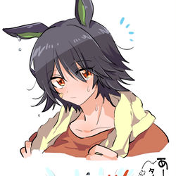 This is a pixiv picture whose title is ウマろぐ.