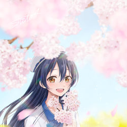 This is a pixiv picture whose title is 海未！ハッピーバースデー！.