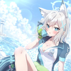 This is a pixiv picture whose title is シロコ.