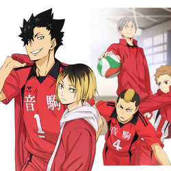 This is a pixiv picture whose title is 都立音駒高校.