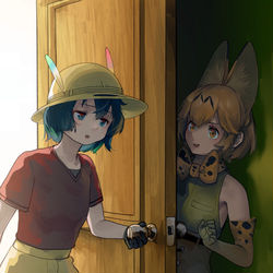 This is a pixiv picture whose title is サプライズねこ.