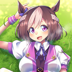 This is a pixiv picture whose title is Lay on the grass.